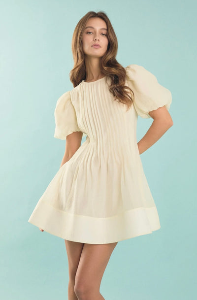 Bridget organza pintuck mini dress